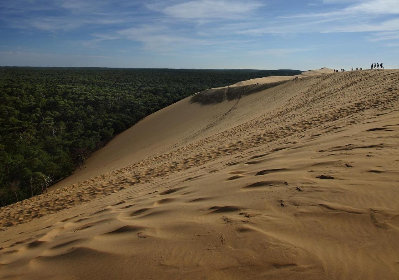 Cote Sable 4* Lège-Cap-Ferret